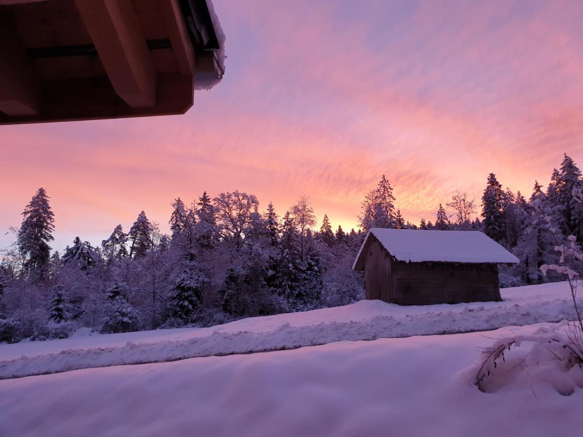 Gantrisch Lodge Ruschegg Экстерьер фото